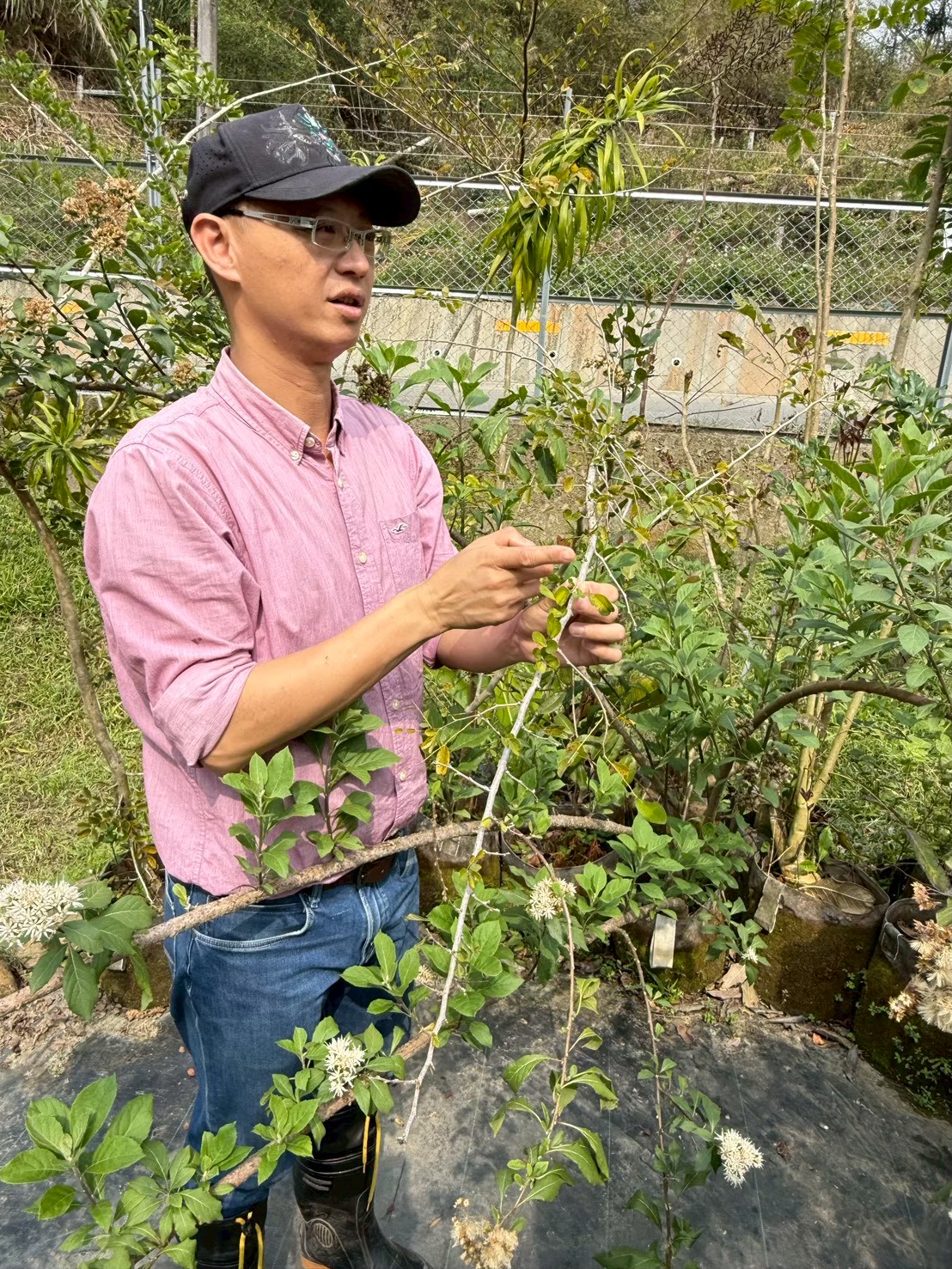 如果一堂課,不能讓你快速變現,你還會願意學嗎? 胖胖樹 王瑞閔老師