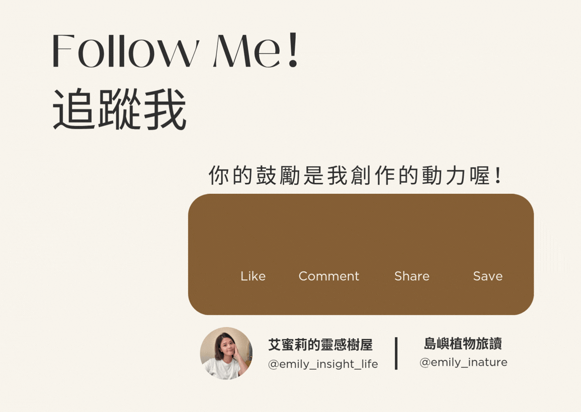 follow me 艾蜜莉的靈感樹屋
